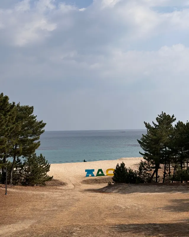 월송정 해변 풍경