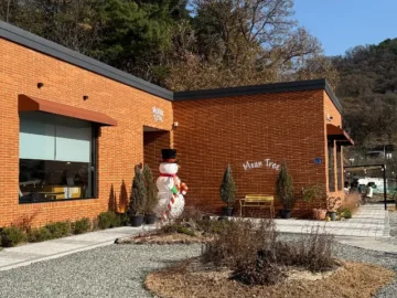 고분군 뷰 맛집! 성주 마운트리, 힐링되는 커피와 풍경에 빠지다