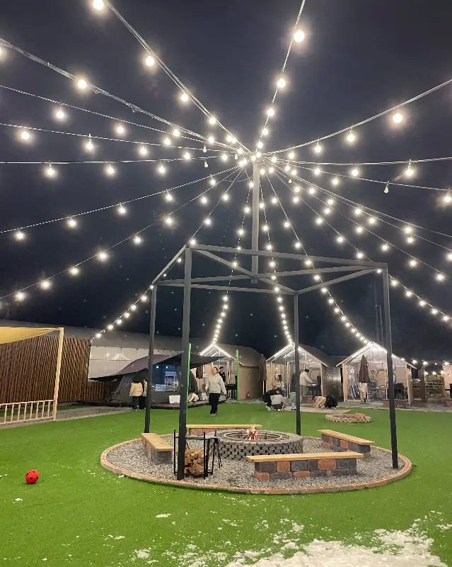 밤의 나의뒤뜰 전경