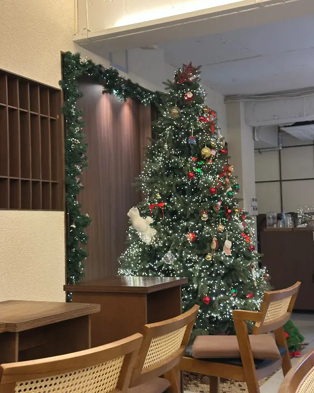 카페 내부 크리스마스 트리