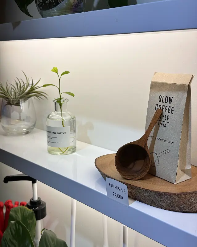 진열대 위에 놓인 식물과 커피 원두