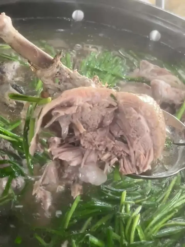 살이 꽉 찬 오리