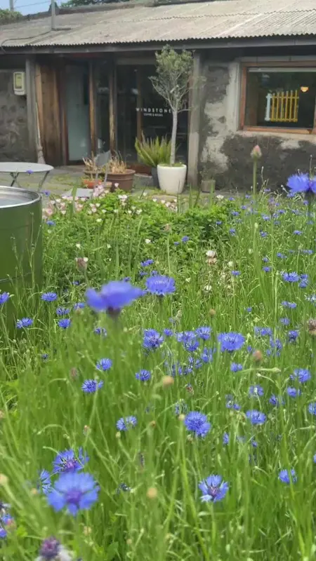 윈드스톤 외관과 정원