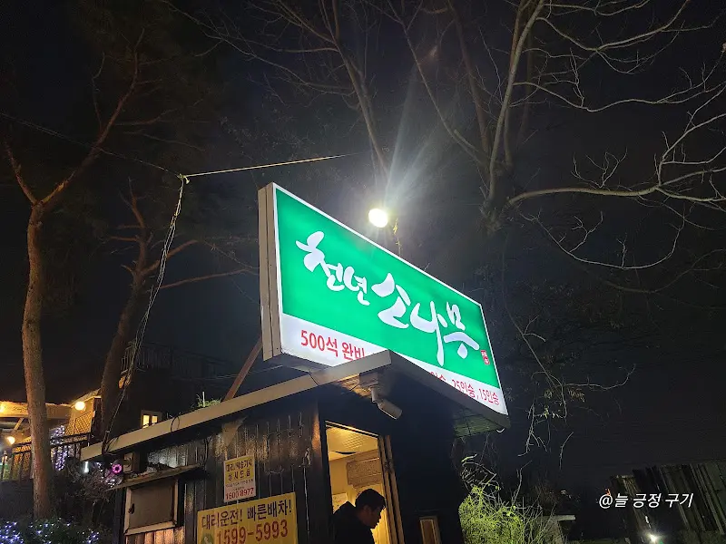 천년소나무 간판