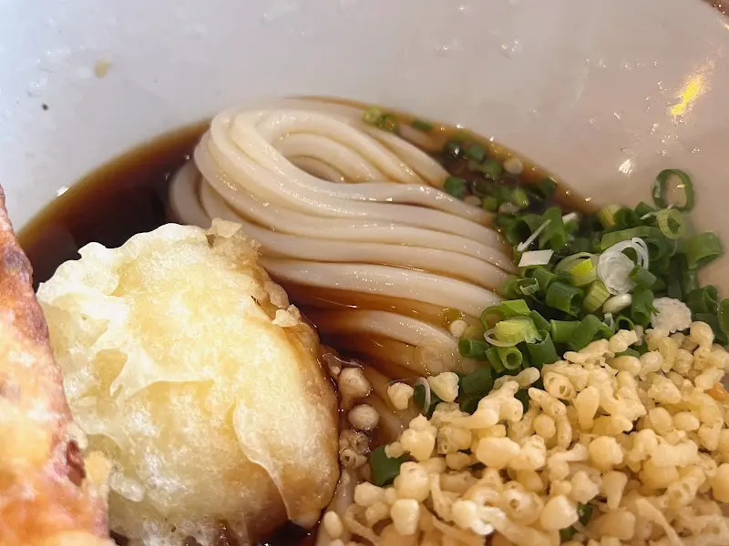 면장우동 붓카케 우동 근접샷