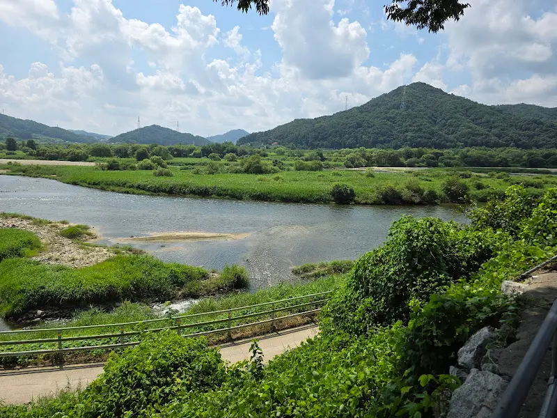 용댕이매운탕 앞 금강 뷰