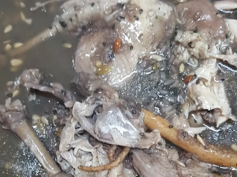 오리백숙 클로즈업