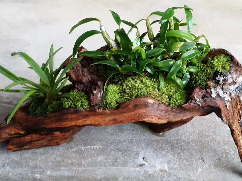 매장 내 장식된 화분