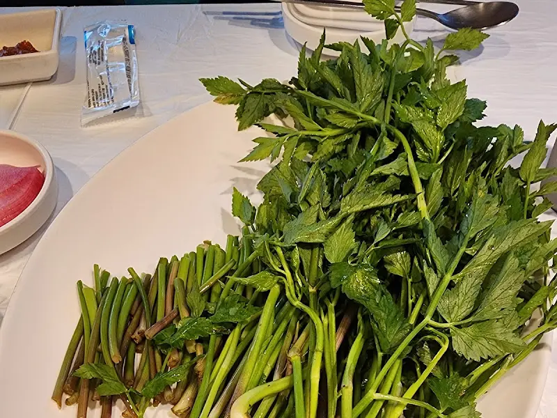 미나리의 신선한 모습