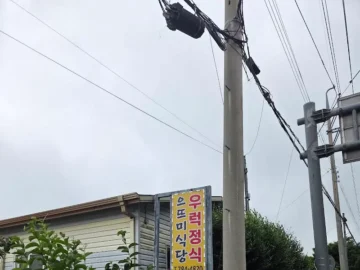 제주 송당에서 만난 우럭튀김, 그 맛은 진짜 레전드! 인생 맛집 등극