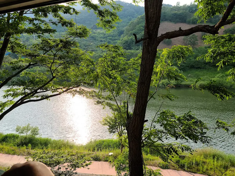 식당에서 바라본 섬진강 풍경