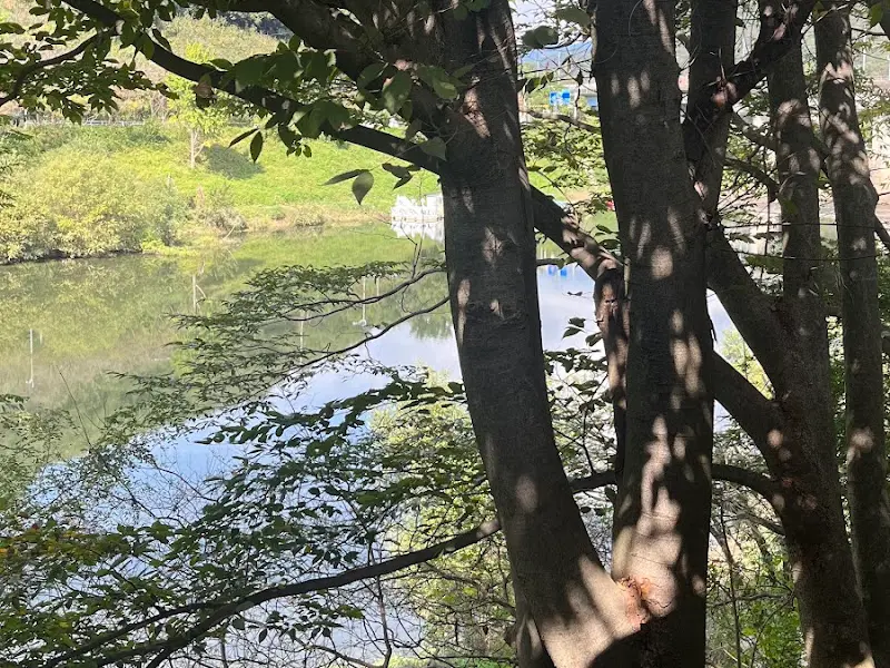 나무 사이로 보이는 섬진강