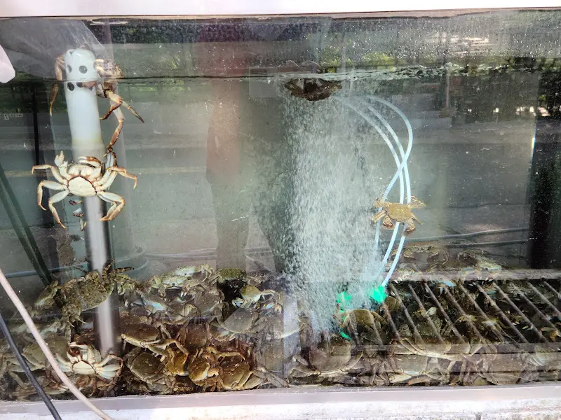 수족관에 있는 참게