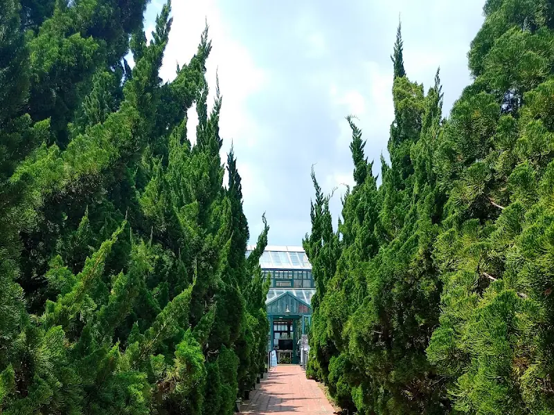 외도 널서리로 향하는 길