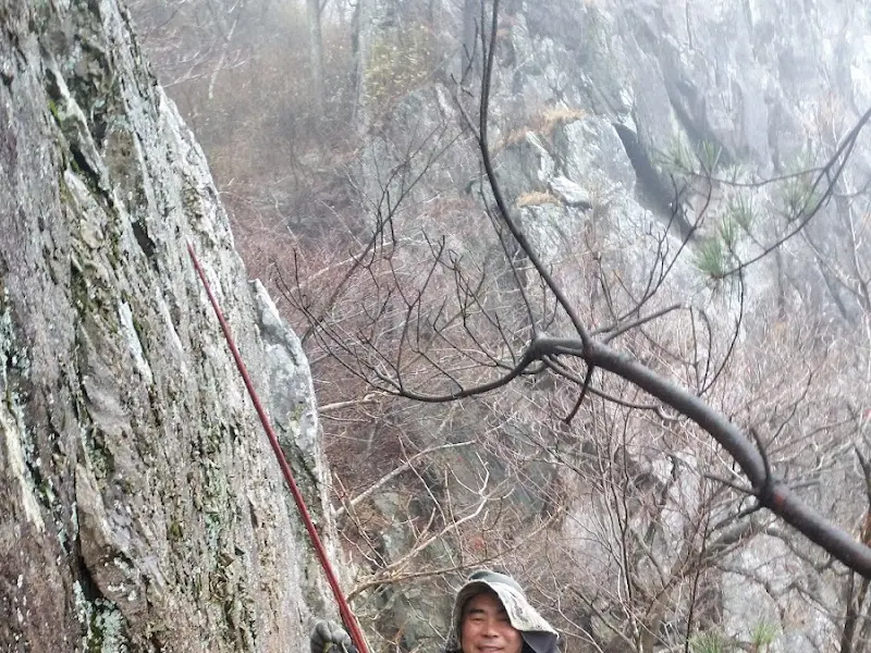 약초 채취 중인 사장님