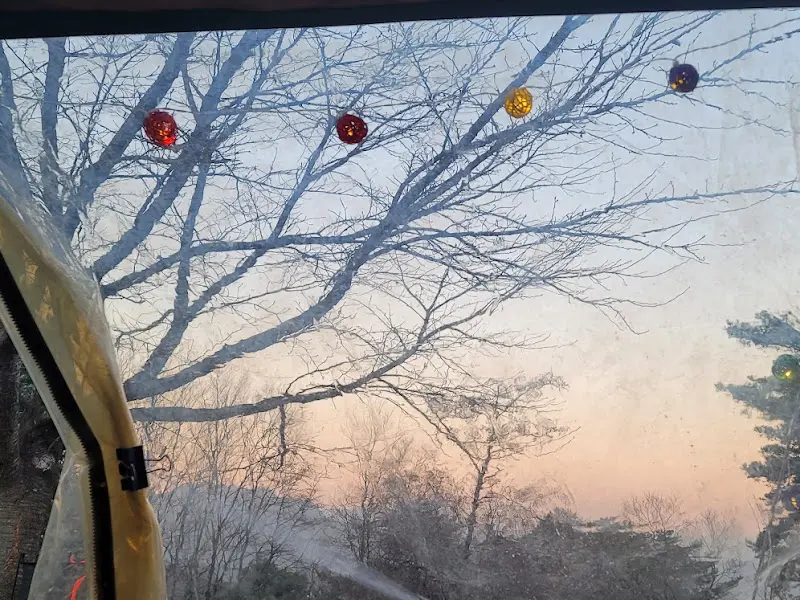 영월 카페 올라 캠핑장 겨울