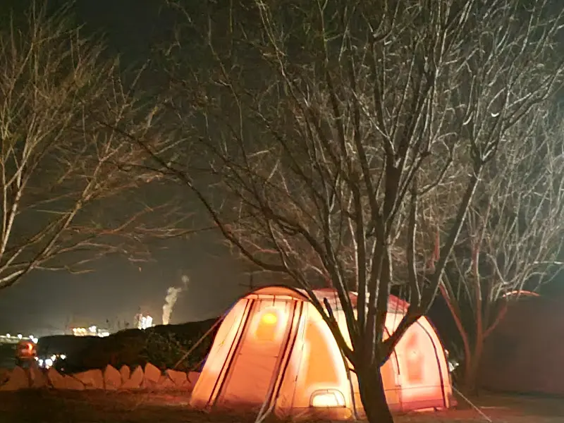 영월 카페 올라 캠핑장 외부