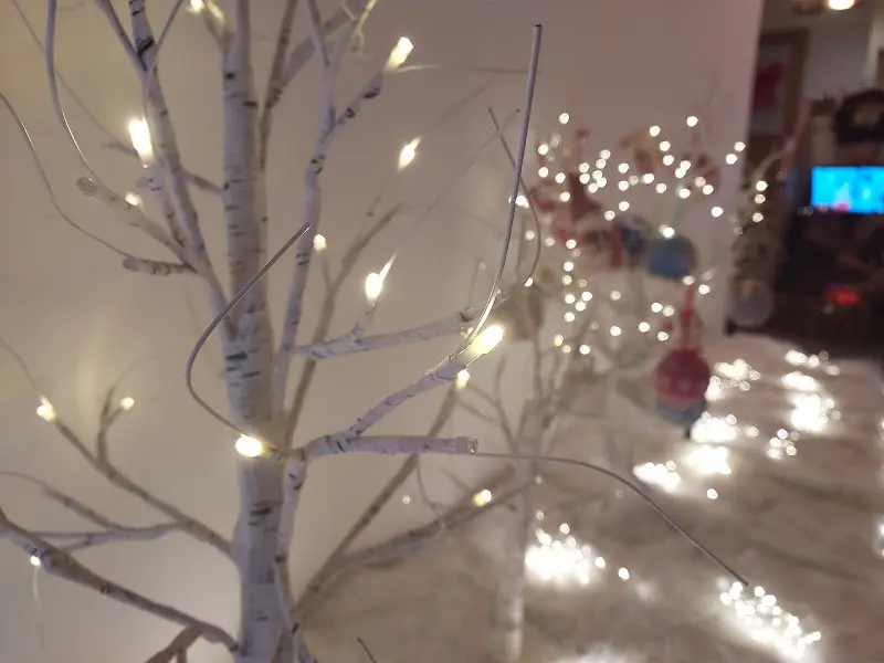 돼지갈비 단독샷