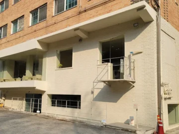 숨겨진 과천 숲 속 보석, 언트: 통창 뷰 맛집 카페에서 힐링!