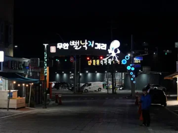 밤거리 불빛 아래 숨겨진 무안 낙지골목 맛집, 동산정의 감동적인 맛