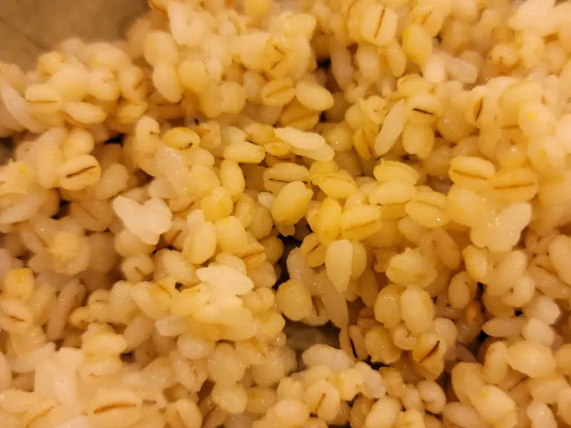 보리밥 클로즈업