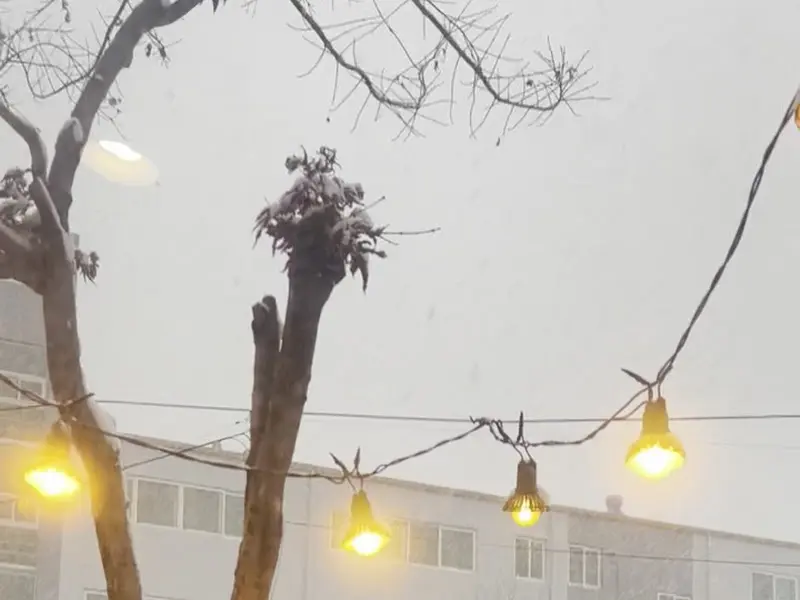 눈 내리는 카페 외부 풍경