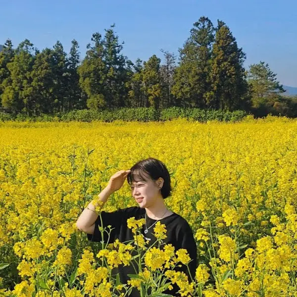 싱그러운 봄, 유채꽃밭에서