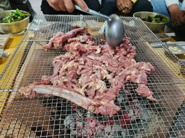 깊은 산골의 숨겨진 보석, 영양 일월산식당에서 맛보는 흑염소 숯불구이의 향연 (경북 맛집)