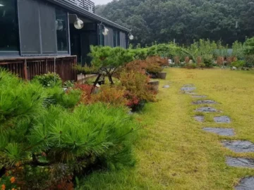 숲속 정원에서 즐기는 과학적 미식 경험, 연천 황기참게매운탕 맛집 탐험기