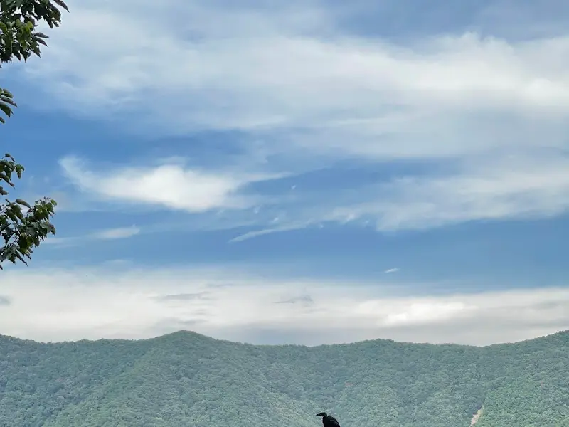 가든여항산장에서 바라본 풍경