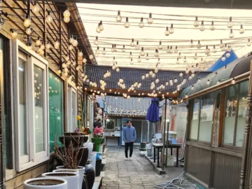 삼척 마당넓은집, 노포 감성 한방 삼겹살에 취하는 맛집 기행