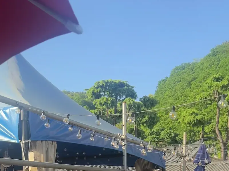 마당넓은집 야외 전경