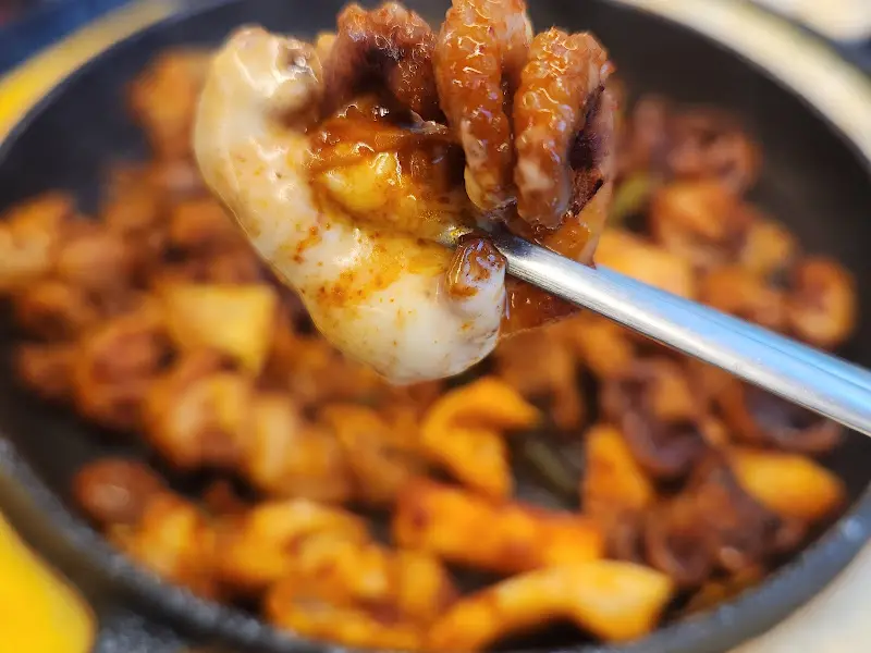 탱글탱글한 쭈꾸미 근접샷