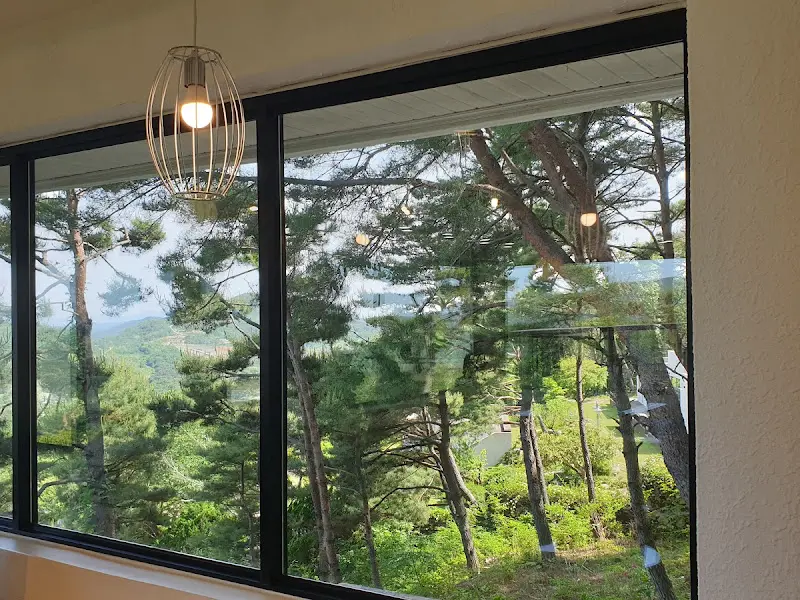 창밖으로 보이는 울창한 나무들