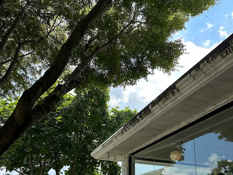 카페 건물과 주변 나무