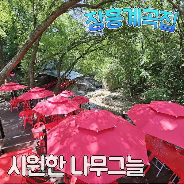 계곡 옆 파라솔 아래에서 즐기는 여유로운 식사