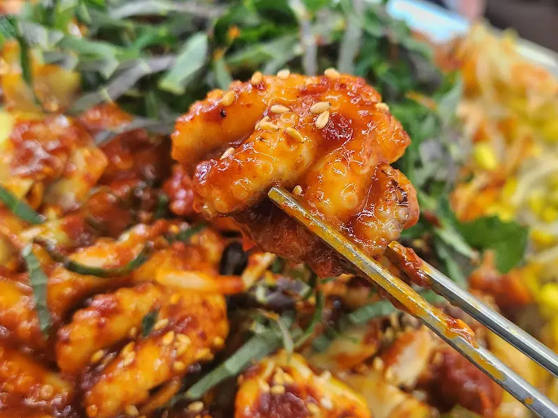 젓가락으로 집어 올린 탱글탱글한 쭈꾸미