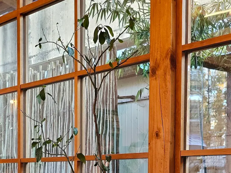 창밖 풍경: 나무 프레임 창문으로 보이는 푸른 잎이 싱그럽다.