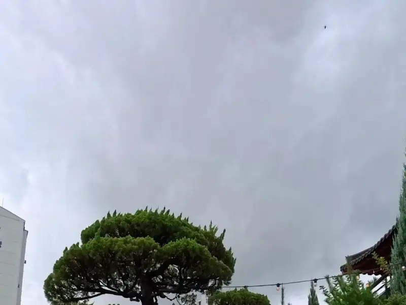 카페 외부 풍경