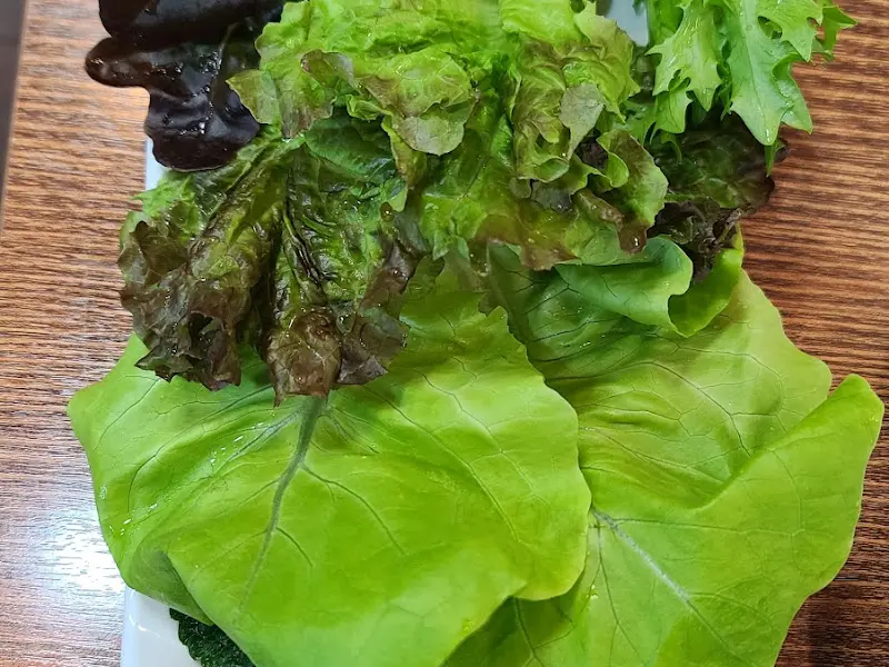 싱싱한 쌈 채소 클로즈업