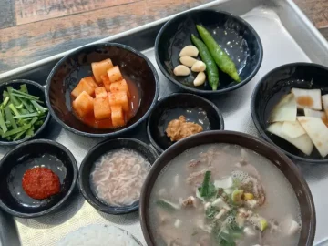 차가운 도시에서 찾은 따뜻한 오아시스, 의정부 국밥 맛집의 과학