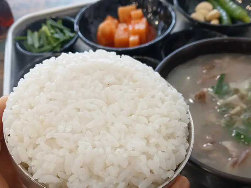 윤기 자르르 흐르는 갓 지은 쌀밥