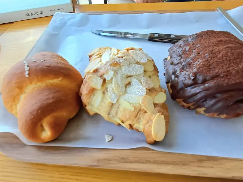 다양한 빵 종류