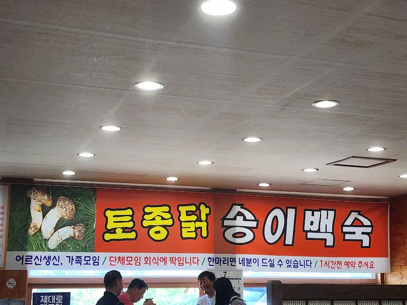 토종닭 송이백숙