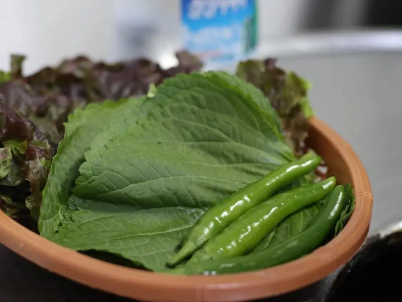 싱싱한 쌈 채소