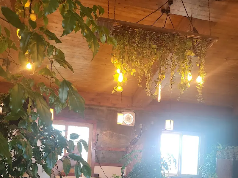 흥부네 내부 천장의 독특한 조명과 식물 장식