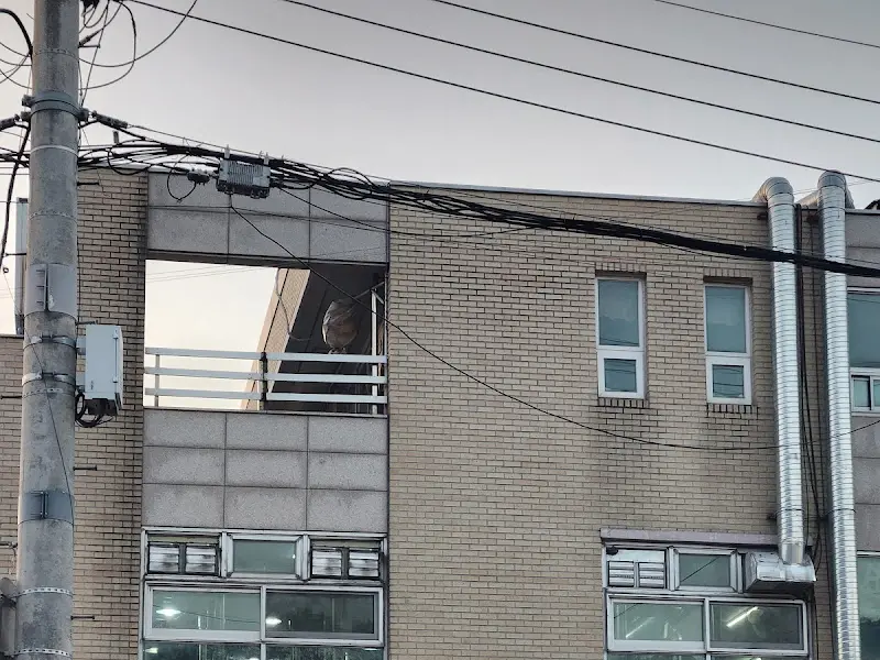 영광 장어1번가 외부 모습