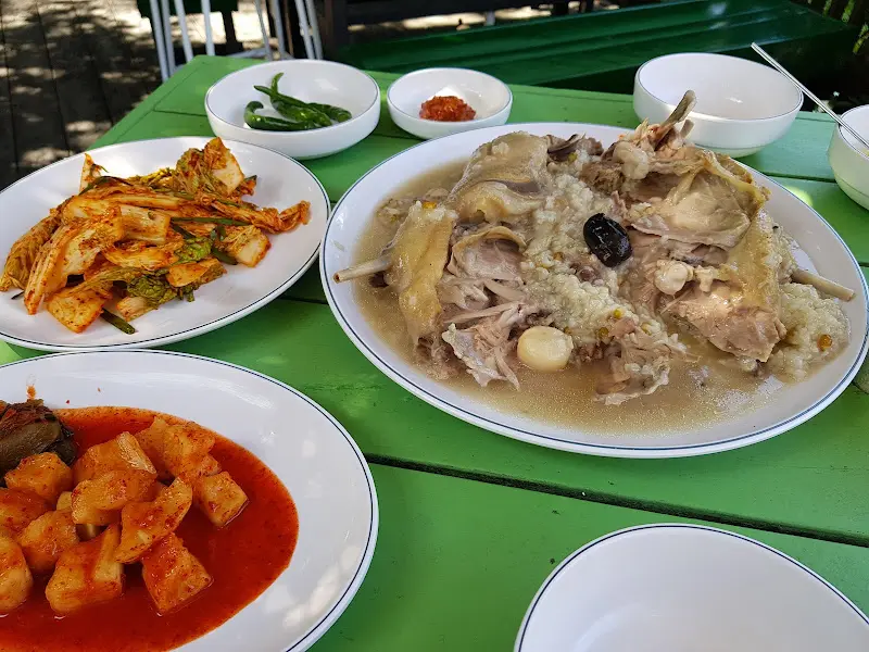 푸짐하게 차려진 닭백숙 한 상