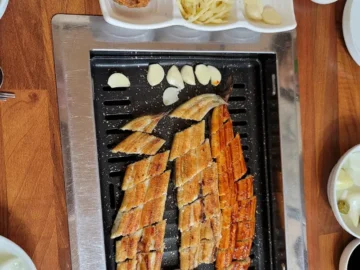 기운이 솟아나는 영암 월출산 장어 맛집 투어, 진짜 레전드!