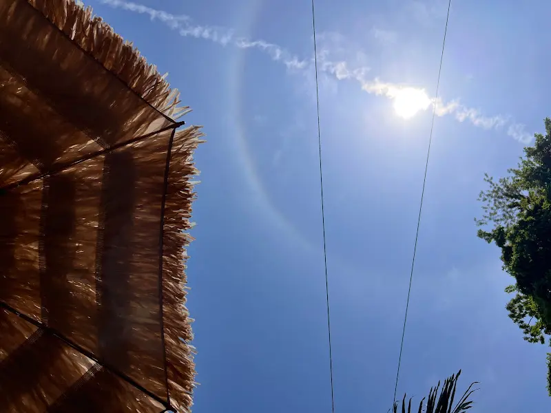 하이바다 파라솔